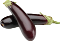 aubergine_black_beauty