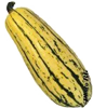 courge_delicata