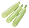 courgette_blanche