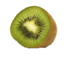 kiwi_actinidia