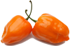 piment_habanero