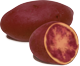 pomme_de_terre_rouge_des_flandres