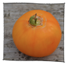 tomate_carotina