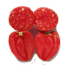 tomate_coeur_de_boeuf