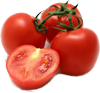 tomate_matina