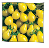 tomate_poire_jaune